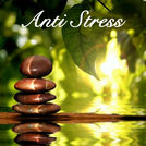 Anti Stress