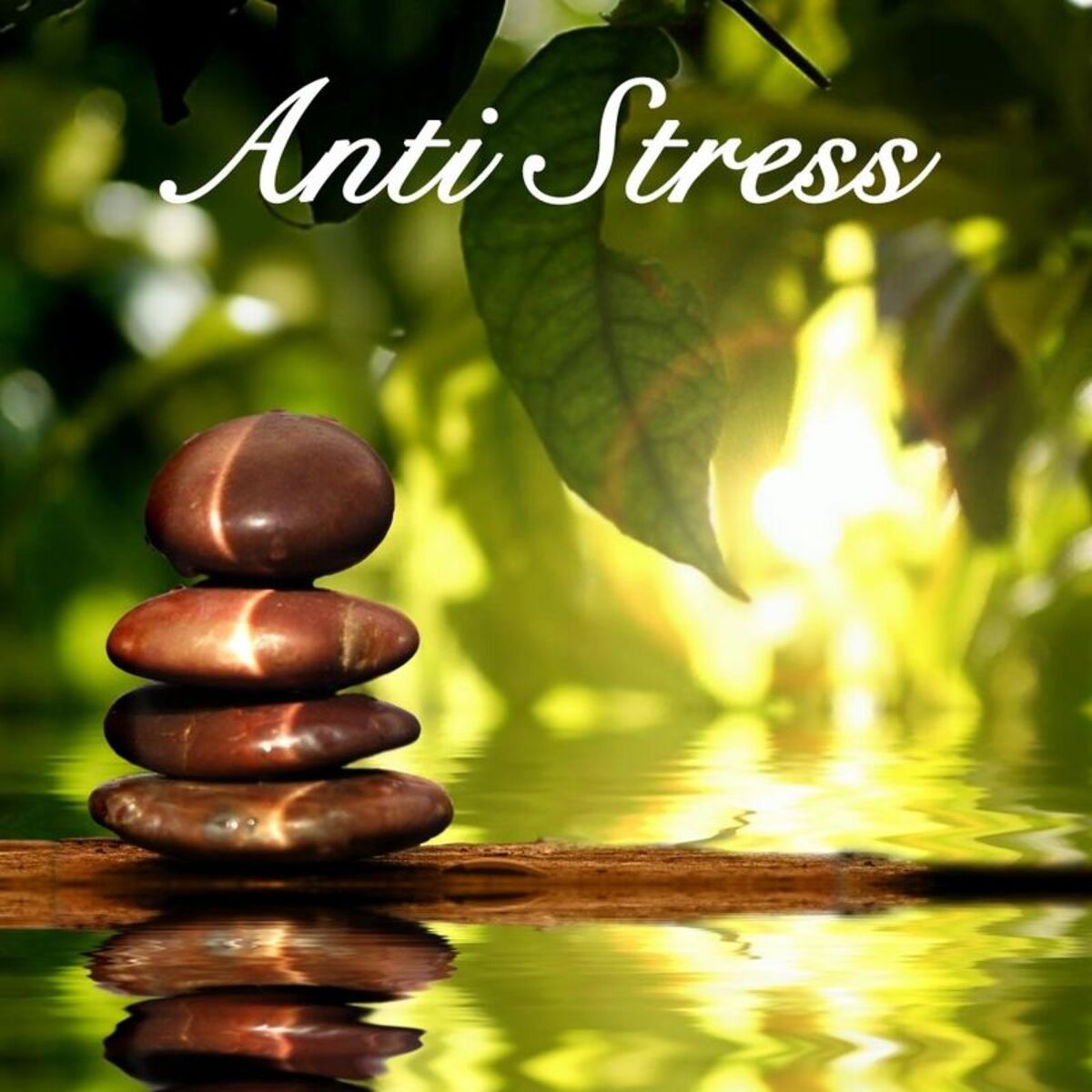 Anti Stress