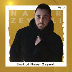 Picture of Naser Zeynali