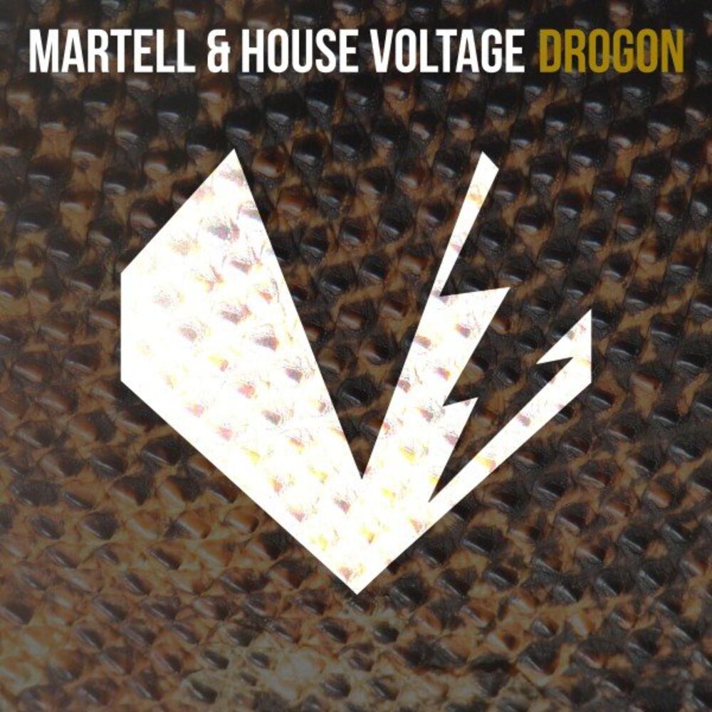 Picture of House Voltage
