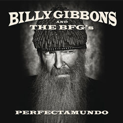 Picture of Billy Gibbons And The BFG's