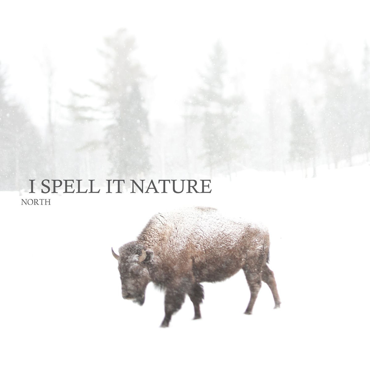 Artist picture of I Spell It Nature
