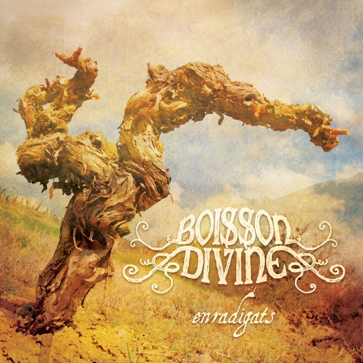 Boisson Divine