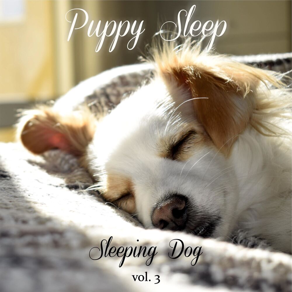 Picture of Puppy Sleep
