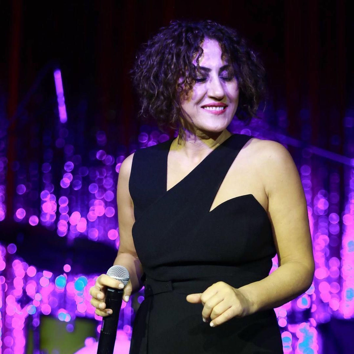 Artist picture of Aynur