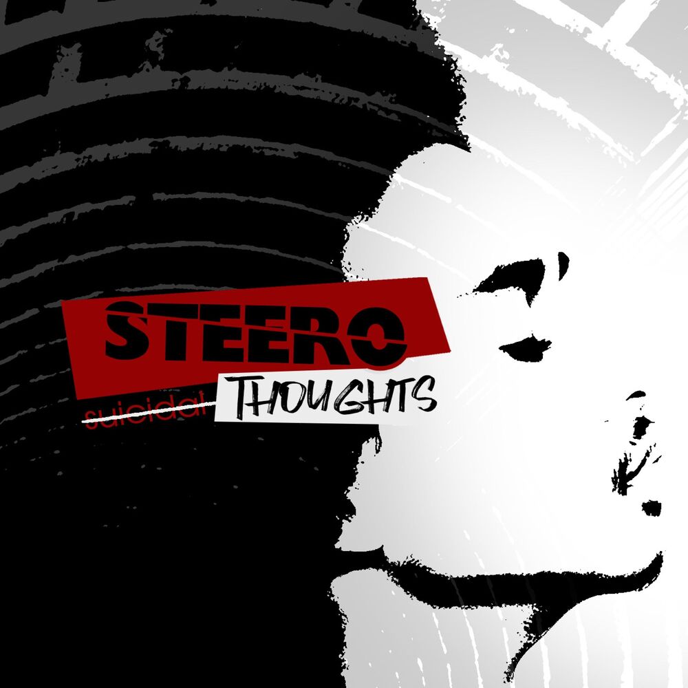 Picture of Steero