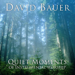 Picture of David Bauer