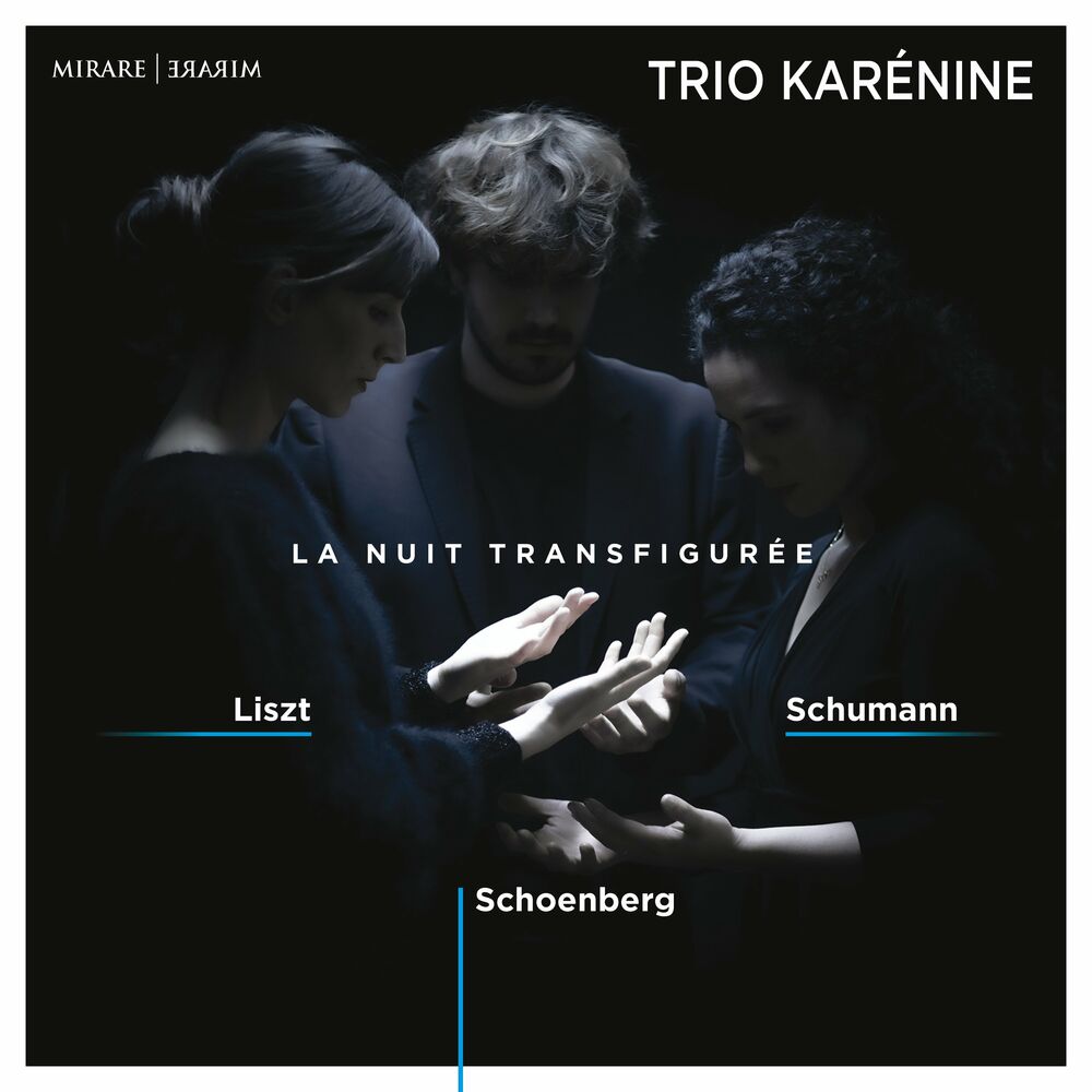 Picture of Trio Karénine