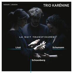 Picture of Trio Karénine