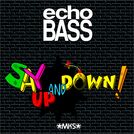 Echo Bass