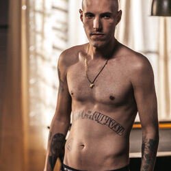 Picture of Spinardi