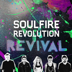 Picture of Soulfire Revolution