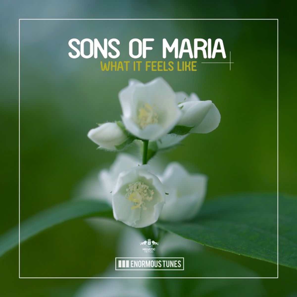 Sons Of Maria