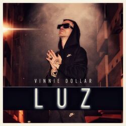 Picture of Vinnie Dollar