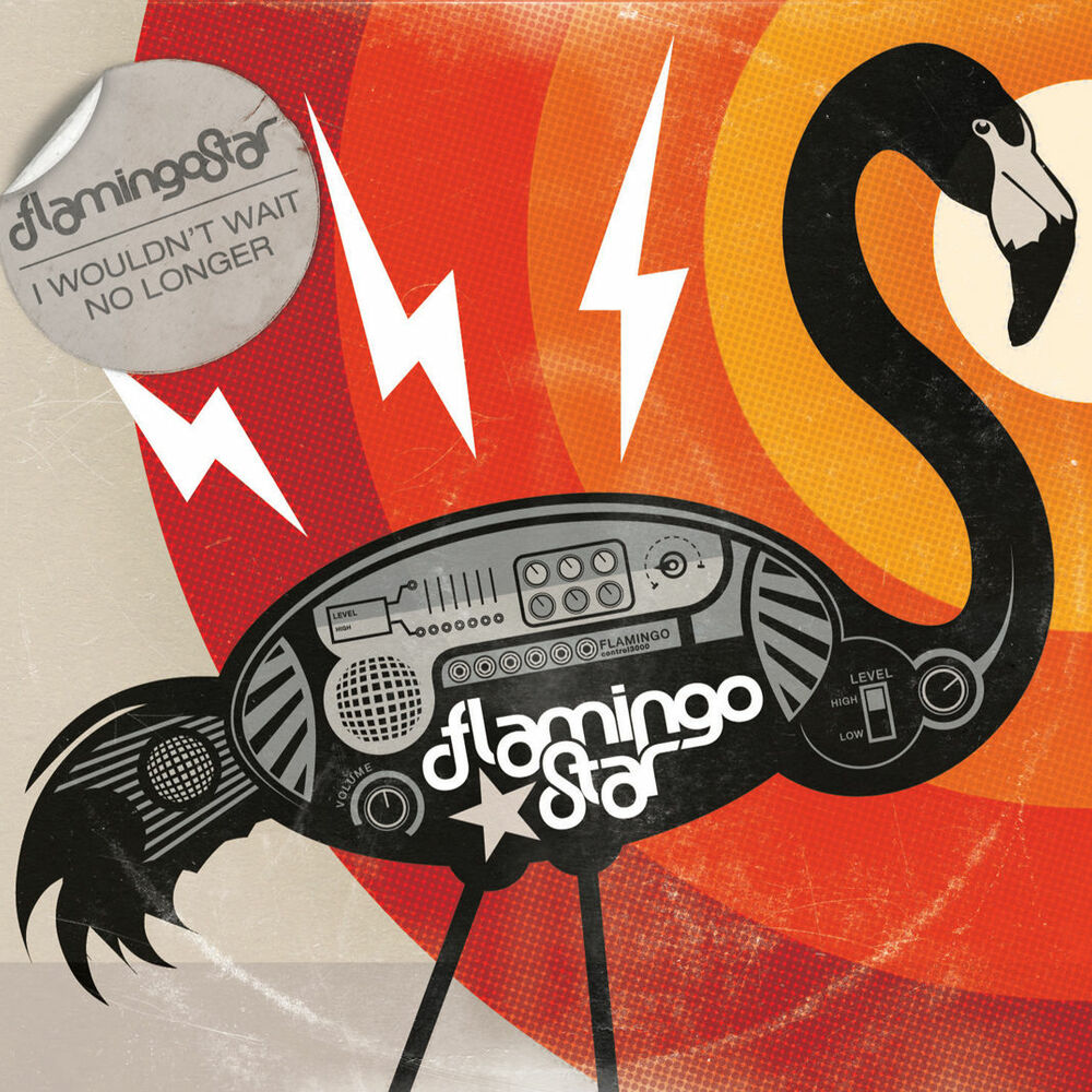 Picture of Flamingo Star