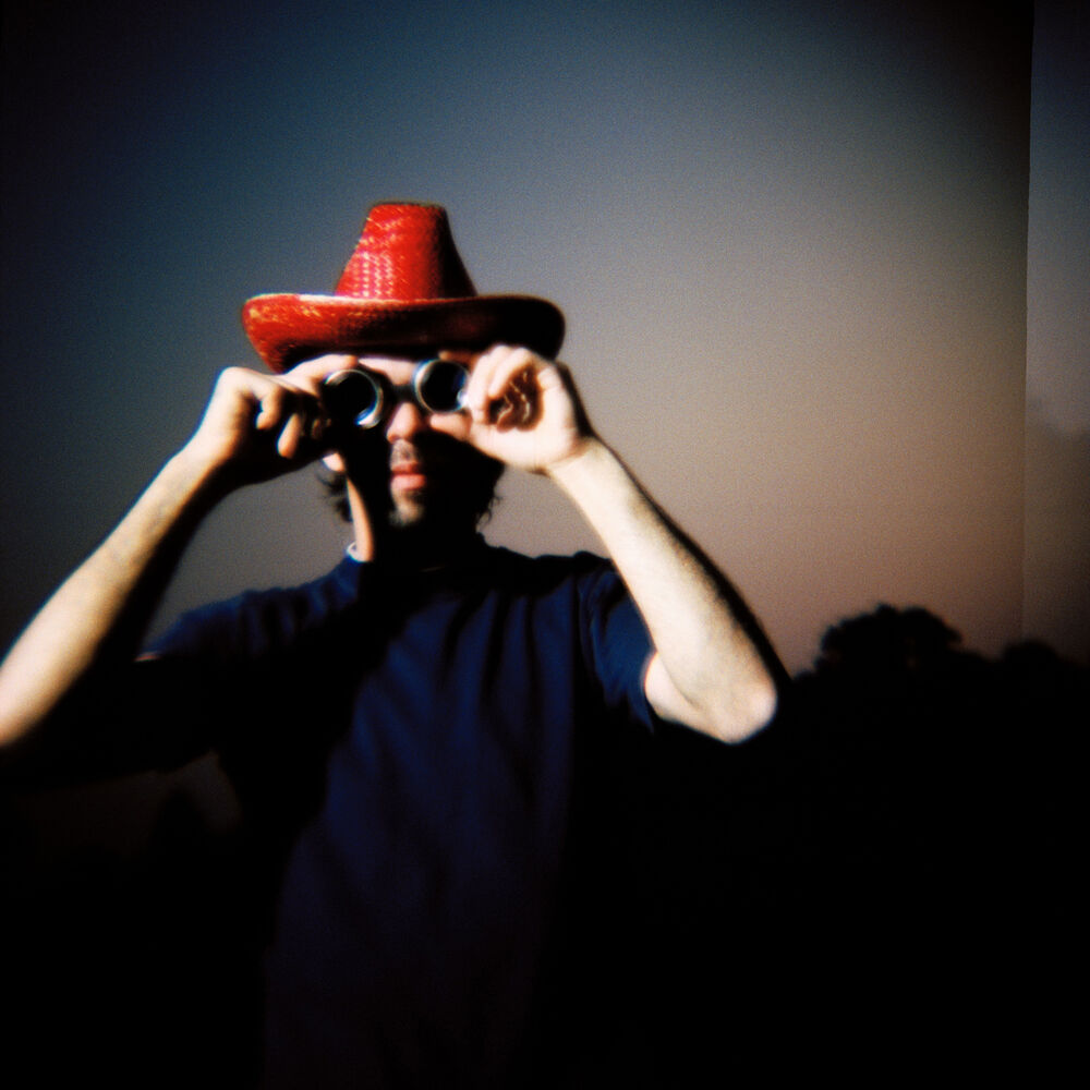 Picture of Sparklehorse