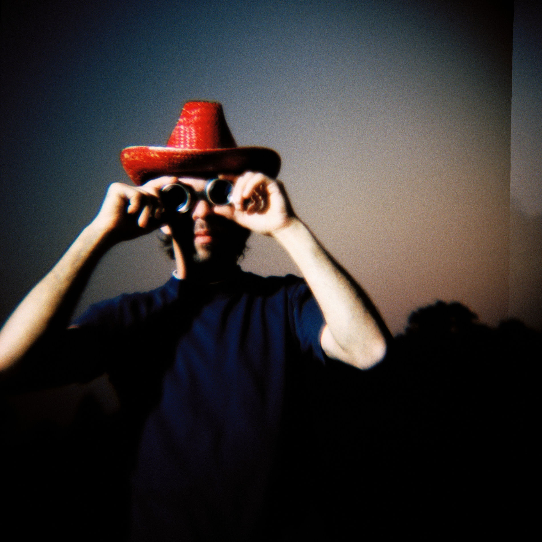 Artist picture of Sparklehorse