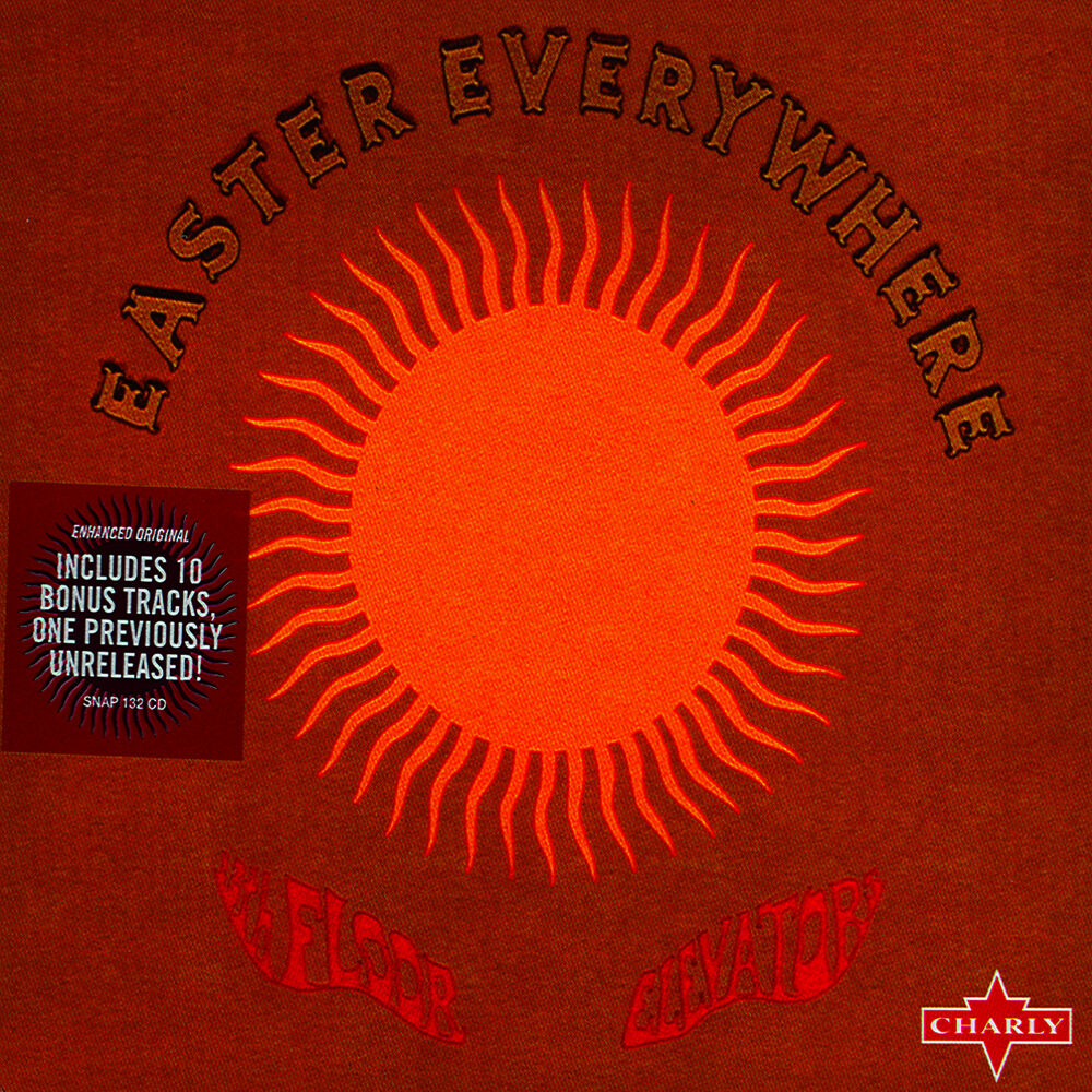 Picture of The 13th Floor Elevators
