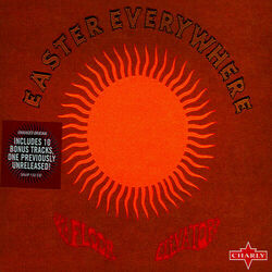 Picture of The 13th Floor Elevators