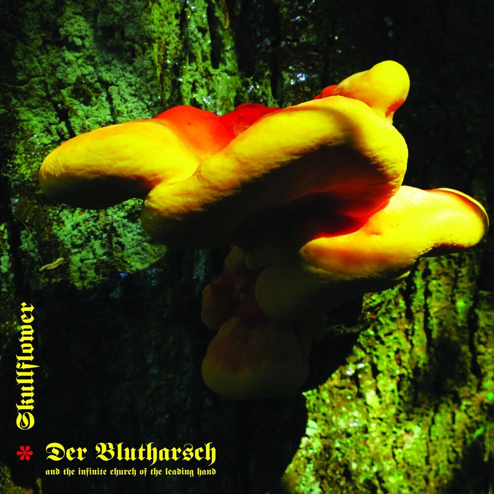 Picture of Der Blutharsch and the infinite church of the leading hand & Skullflower