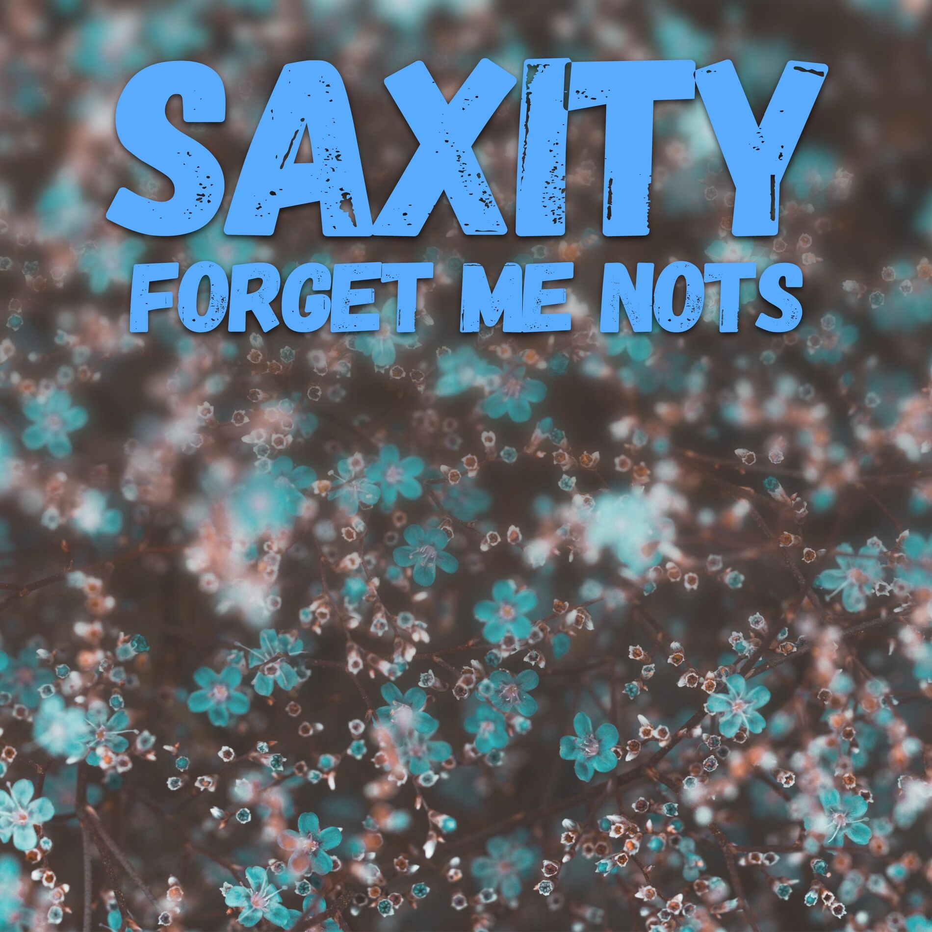 Saxity