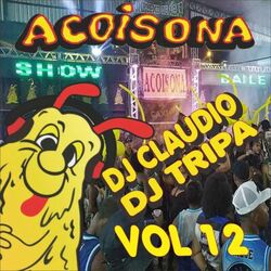 Acoisona