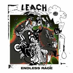Picture of Leach