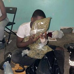 Picture of Rell Vert