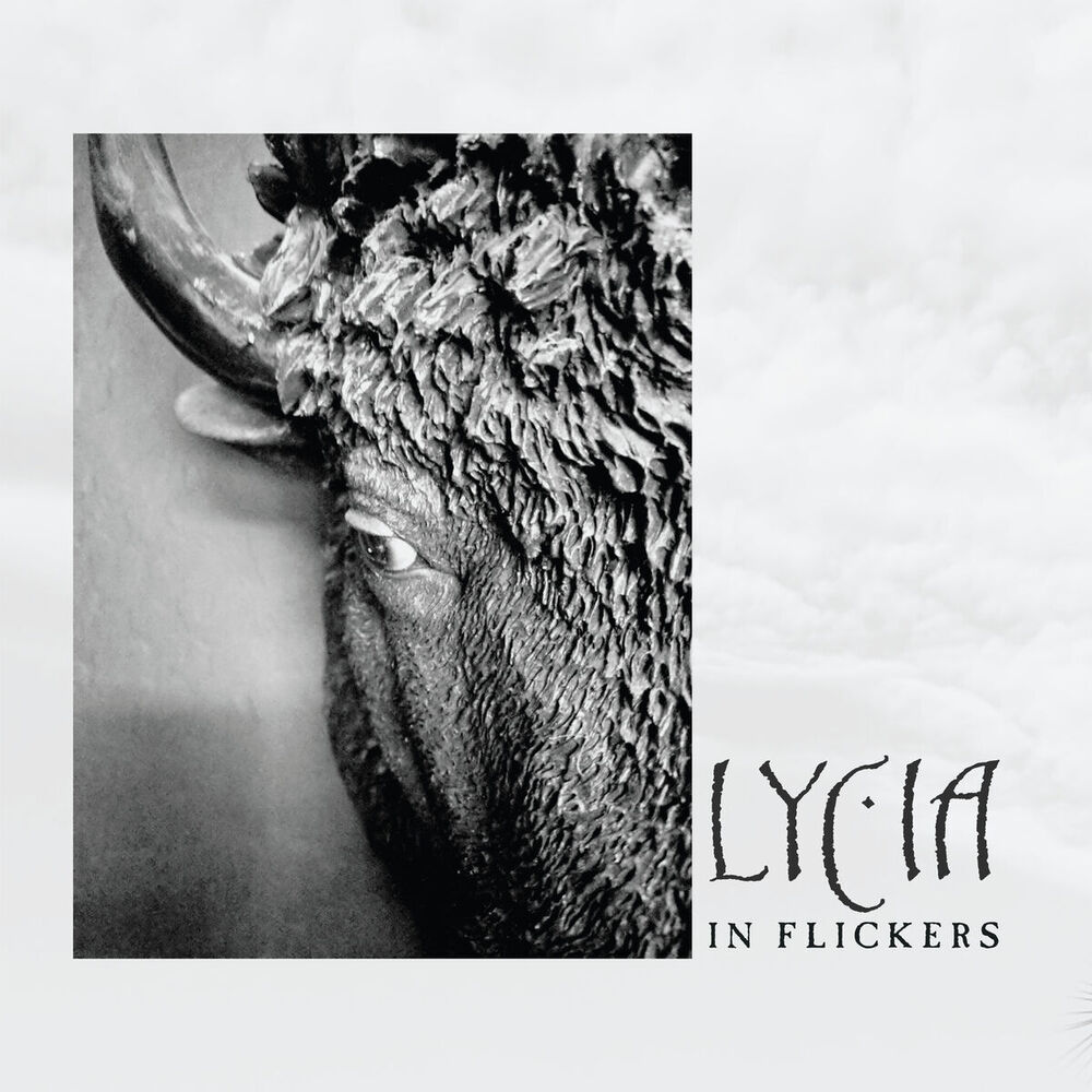 Picture of LYCIA