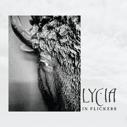 Picture of LYCIA
