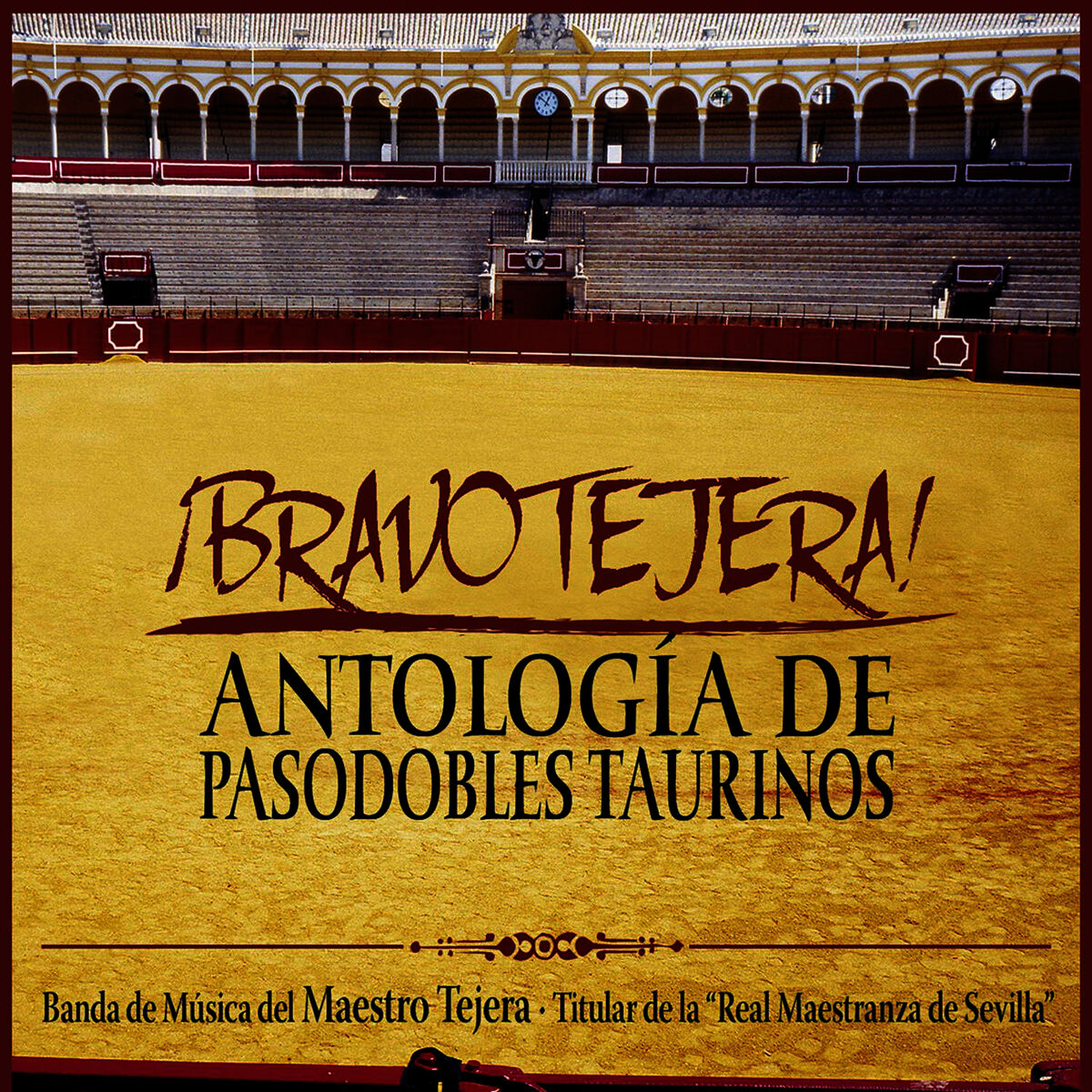 Banda de Musica del Maestro Tejera