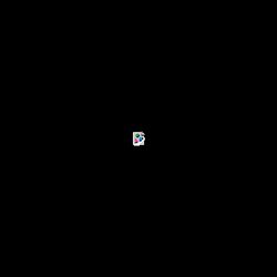 Picture of cat soup