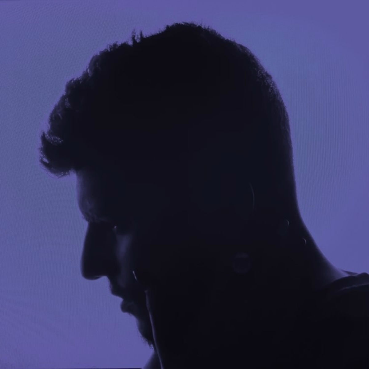 Artist picture of Furelise