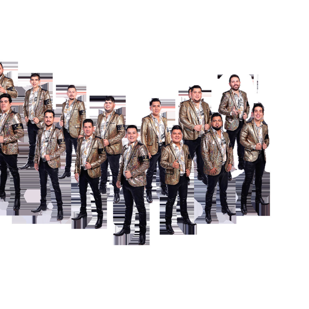 Picture of Banda Elemental de Mazatlán Sinaloa