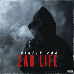Picture of Pinpin Zar