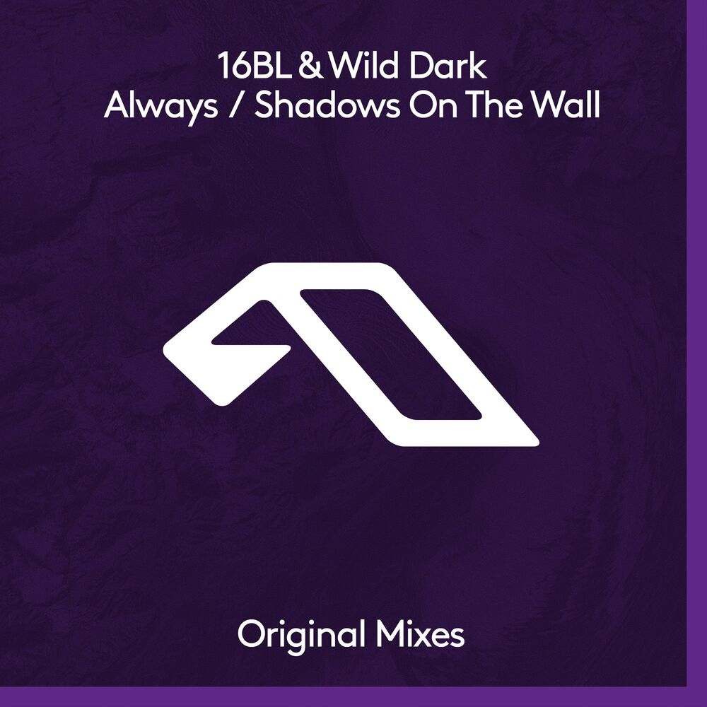 Picture of Wild Dark