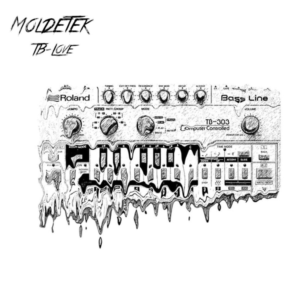 Picture of Moldetek
