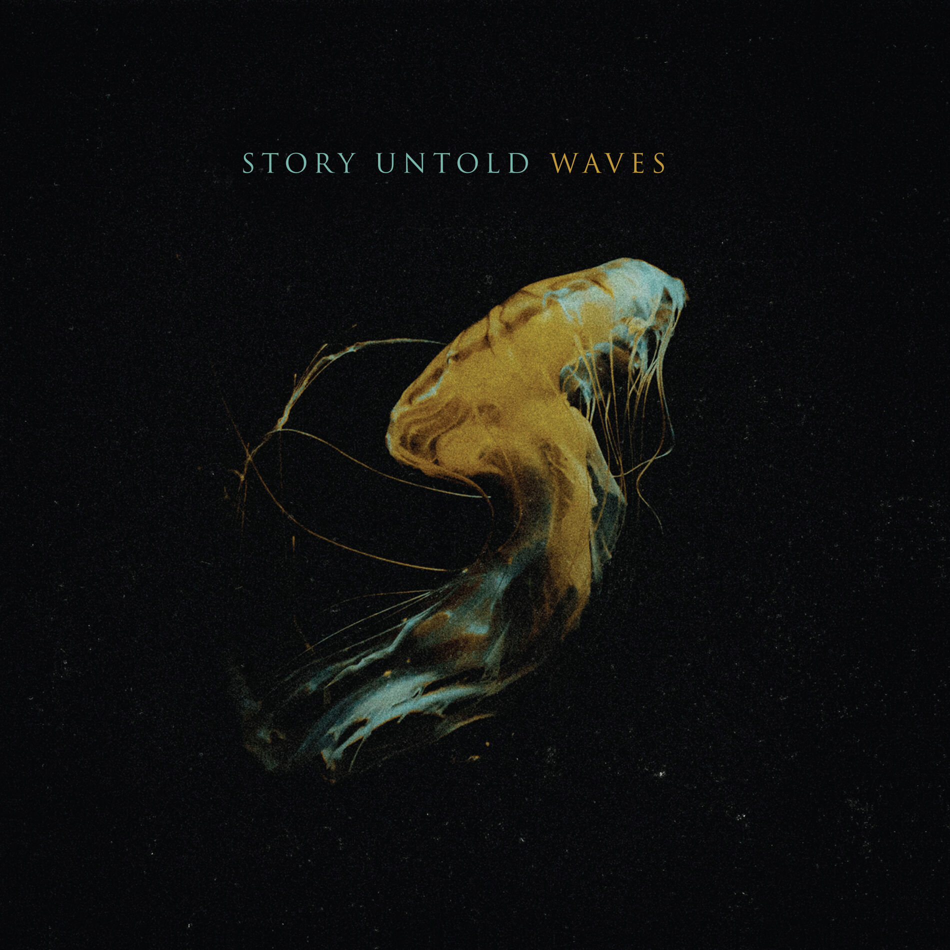 Artist picture of Story Untold