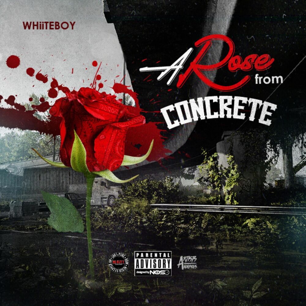 Picture of Whiiteboy