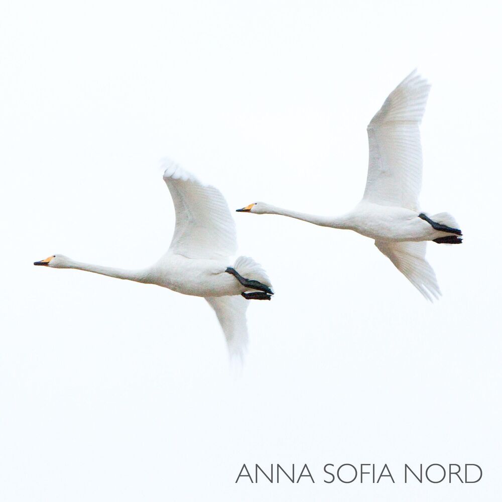 Picture of Anna Sofia Nord