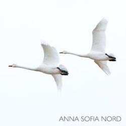 Picture of Anna Sofia Nord