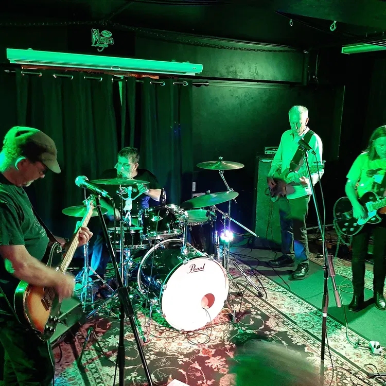The Bats