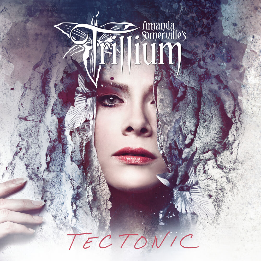 Picture of Trillium