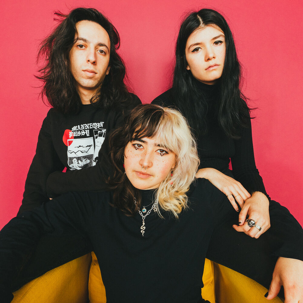 Picture of Destroy Boys