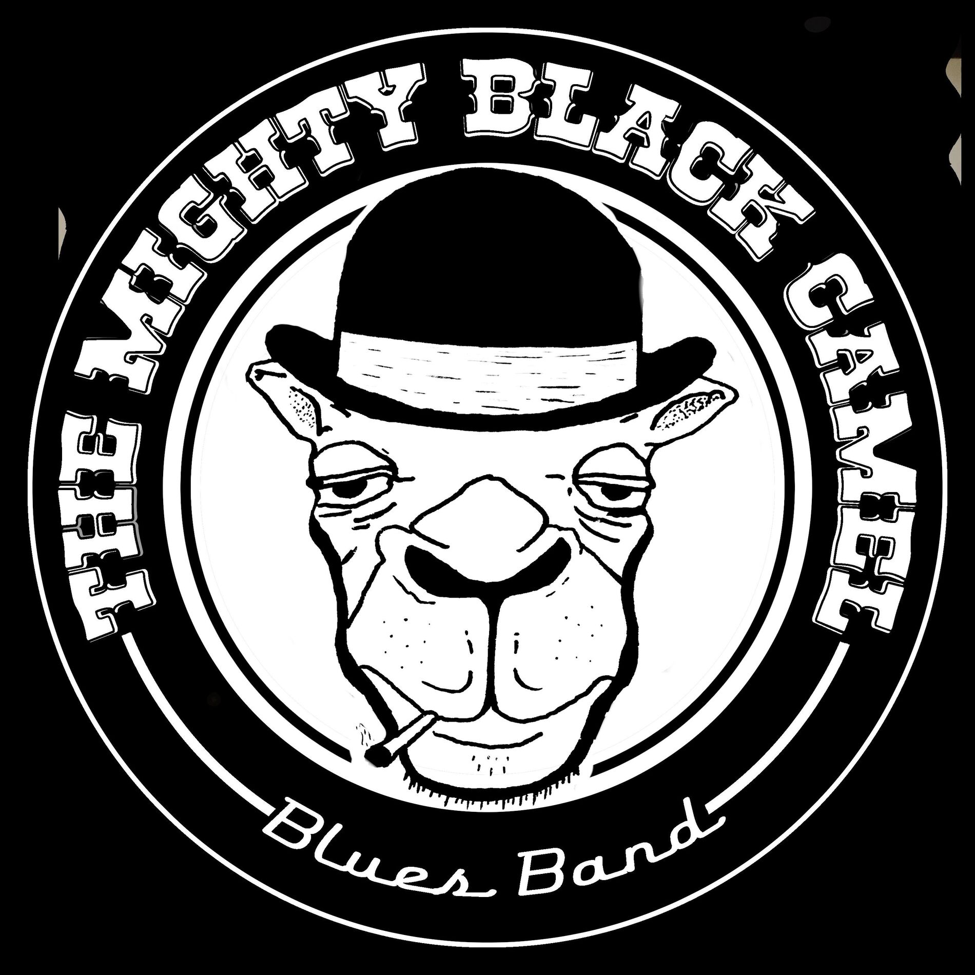 Artist picture of The Mighty Black Camel Blues Band