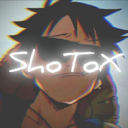 Picture of ShoToX
