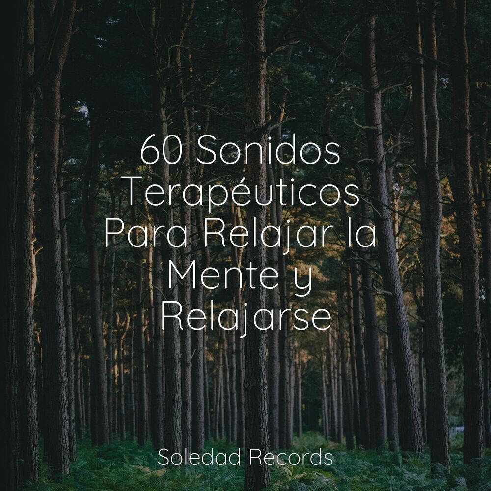 Picture of Saludo al Sol Sonido Relajante