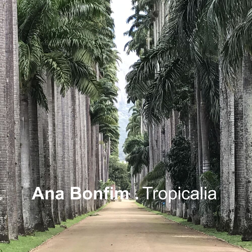 Picture of Ana Bonfim