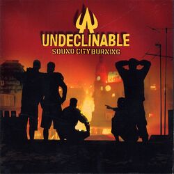 Picture of Undeclinable
