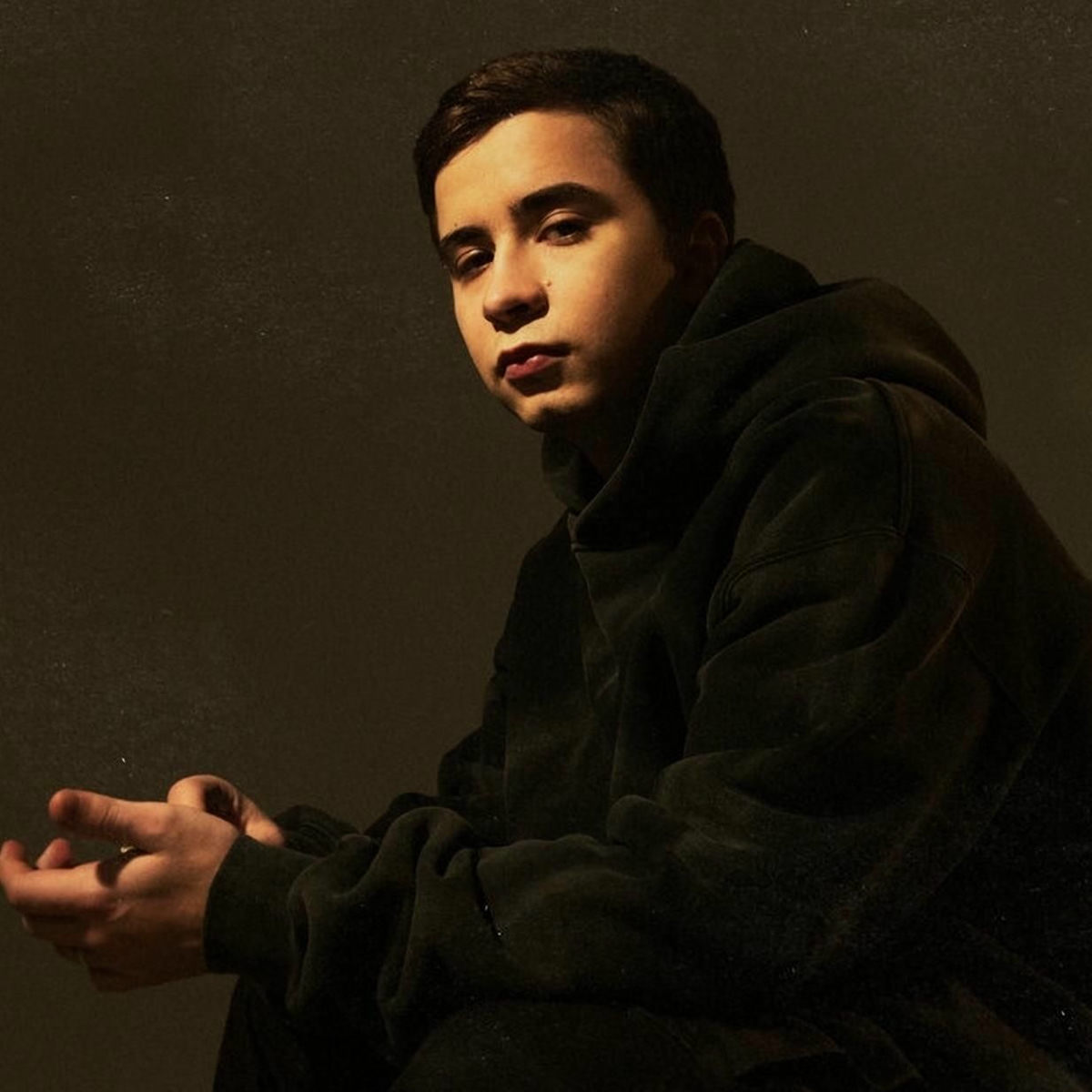 Artist picture of Ramil'